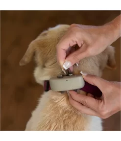 Tractive® GPS Tracker, Ca. B2,8/T7,1 Cm -Gartenbedarf Geschäft 6613988 WE MO 001 tractiveGPSTrackerHundCoffee