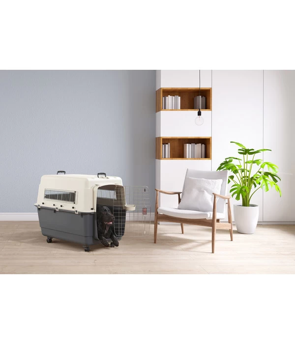 SAVIC Reisebox Andes Inkl. Rollen 2 SAVIC Reisebox Andes Inkl. Rollen – Bild 2