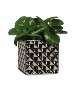 Scheurich Keramik-Übertopf Titanium, Quadratisch, Silber 7 Scheurich Keramik-Übertopf Titanium, Quadratisch, Silber -Gartenbedarf Geschäft 6642060 WE FS 003 TopfTataniumSilber