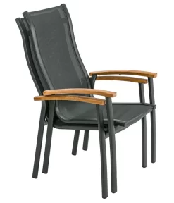 Dehner Stapelstuhl Chicago Wood -Gartenbedarf Geschäft 6701866 WE FS 003 StapelstuhlChicagoWoodNEU