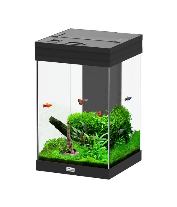 Aquatlantis Aquarium Aqua Tower 43 2 Aquatlantis Aquarium Aqua Tower 43 – Bild 2