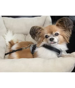 Dehner Lieblinge Reisebett Dream Team, Beige, Ca. B54/H34/T50 Cm -Gartenbedarf Geschäft 6909790 WE MO 003 DehnerLieblingeTransportsofa