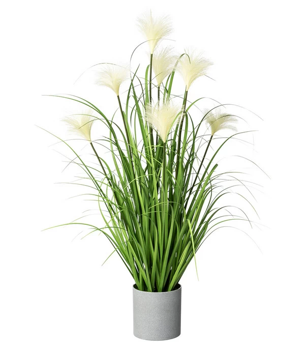 Gasper Kunstpflanze Riedgras, Ca. H76 Cm 1 Gasper Kunstpflanze Riedgras, Ca. H76 Cm