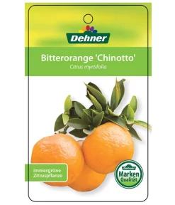 Bitterorange 'Chinotto' 8 Bitterorange 'Chinotto' -Gartenbedarf Geschäft 7119803 BitterorangeChinottoEtikett1