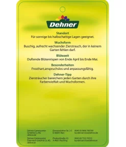 Flieder 'Charles Joly' -Gartenbedarf Geschäft 7492671 FliederCharlesJoy Etikett 2