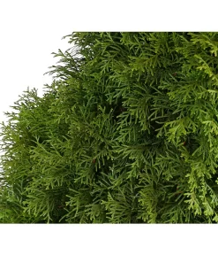 31 Meter Lebensbaum 'Smaragd', 125 X Ca. 40-60 Cm -Gartenbedarf Geschäft 7513534 WE DE 001 ThujaLebensbaumOccidentalisSmaragd20LDehnerExpressHerzig