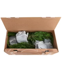 1 Meter Lebensbaum 'Smaragd', 4 X Ca. 60-70 Cm 5 1 Meter Lebensbaum 'Smaragd', 4 X Ca. 60-70 Cm -Gartenbedarf Geschäft 7515711 PR FS 002 ThujaSmaragd1MeterDehnerExpressHerzig