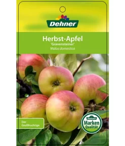Herbstapfel 'Gravensteiner' -Gartenbedarf Geschäft 7657398 HerbstapfelGravensteiner Etikett 1