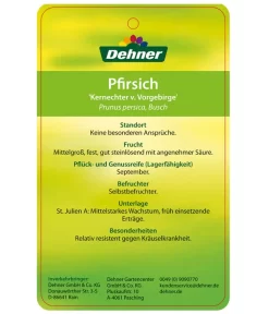 Dehner Pfirsich 'Kernechter Vom Vorgebirge' 7 Dehner Pfirsich 'Kernechter Vom Vorgebirge' -Gartenbedarf Geschäft 7695505 PfirsichKernechterVomVorgebirge Etikett 2
