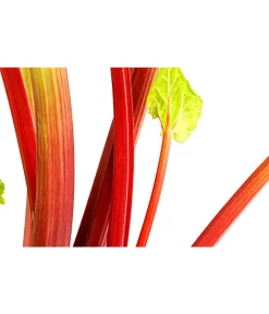 Dehner Gourmet Garten Himbeer-Rhabarber -Gartenbedarf Geschäft 7736028 PR DE 002 RhabarberHimbeere2LiterDehnerExpressHerzig