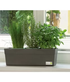 GREENBAR® Kräuterkasten, Ca. B48/H15,5/T16 Cm -Gartenbedarf Geschäft 7750482 PR MO 001 GreenbarAnleitungIndoorSeidl