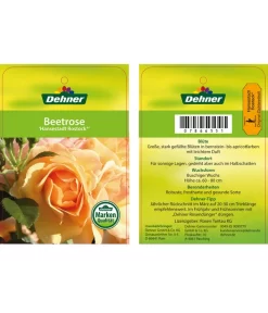 Beetrose 'Hansestadt Rostock®' -Gartenbedarf Geschäft 7866551 HansestadtRostockBeetrose Etikett1