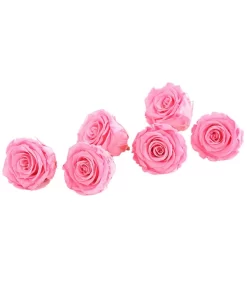 Longlife-Rose, Ca. Ø6 Cm