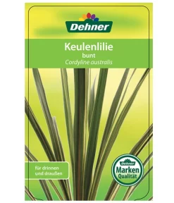 Keulenlilie - Cordyline Australis Variegata -Gartenbedarf Geschäft 8216368 CorylineBuntEtikett1