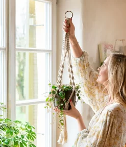 Peperomie - Peperomia 'Pepperspot' 6 Peperomie - Peperomia 'Pepperspot' -Gartenbedarf Geschäft 8252173 WE MO 001 PeperomiePepperspotMakrameeAmpel