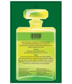 Duft-Orchidee - Phalaenopsis-Hybride 'Flacon Solaire' -Gartenbedarf Geschäft 8257909 Etikett2 PhalaenopsisFlaconSolaire 02072018