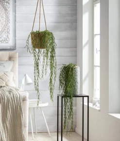 Dehner Keramik-Vase Toni, Rund, Grau -Gartenbedarf Geschäft 8598096 WE MO 001 HoyaLinearisT12