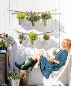 Dehner Gourmet Garten Strauchbasilikum 'Magic Blue' 8 Dehner Gourmet Garten Strauchbasilikum 'Magic Blue' -Gartenbedarf Geschäft 8610123 WE MO 001 Oregano Kraeuter