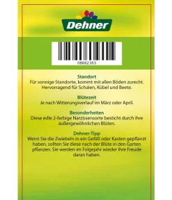 Narzisse 'Jetfire', Schale 7 Narzisse 'Jetfire', Schale -Gartenbedarf Geschäft 8662363 Narcissus Jetfire Schale 2016 2