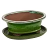 Dehner Keramik-Bonsaischale, Oval, Hellgrün/beige