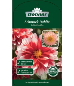 Dehner Premium Dahlie -Gartenbedarf Geschäft 8822462 Schmuck Dahlie Etikett 1