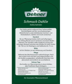Dehner Premium Dahlie -Gartenbedarf Geschäft 8822462 Schmuck Dahlie Etikett 2
