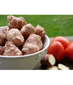 Topinambur -Gartenbedarf Geschäft 8830184 PR MO 001 TopinamburPixabay