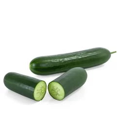 Mini Schlangengurke -Gartenbedarf Geschäft 8830747 WE FS 003 Minischlangengurke