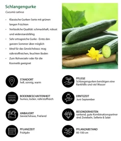 Schlangengurke 11 Schlangengurke -Gartenbedarf Geschäft 8830788 WE IG 001 Schlangengurke