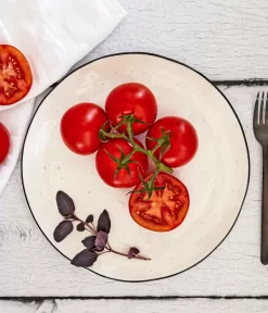 Bioland Buschtomate -Gartenbedarf Geschäft 8831968 WE MO 001 BiolandBuschtomate