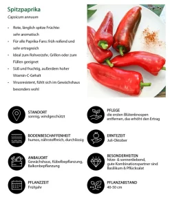 Spitzpaprika, Rot -Gartenbedarf Geschäft 8833501 WE IG 001 Spitzpaprika