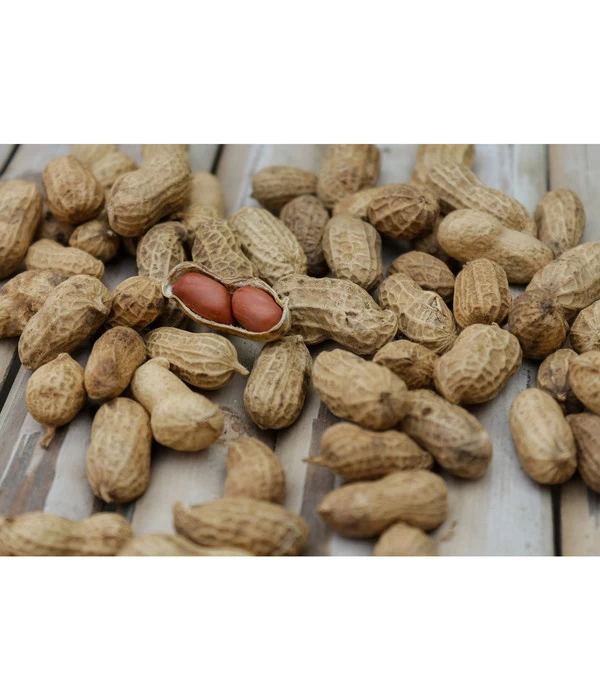 Bioland Erdnuss 1 Bioland Erdnuss