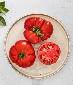 Bioland Fleischtomate -Gartenbedarf Geschäft 8842627 WE MO 001 BiolandFleischtomate