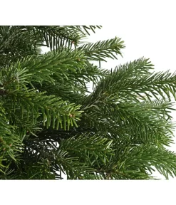 Nordmann-Tanne, Ca. 60-80 Cm, Im Topf Gewachsen -Gartenbedarf Geschäft 8995763 WE DE 003 AbiesNordmannianaNordmanntanne60 80DehnerExpressHerzig