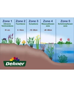 Rundblättriger Froschlöffel -Gartenbedarf Geschäft WE DE 001 Teichzonen Wasserpflanzen Schild 2