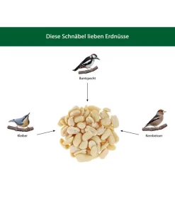 Dehner Natura Futter-Stangen Erdnusskerne -Gartenbedarf Geschäft WE IG 001 DehnerNaturaWelcherVogelfrisstErdnuesse
