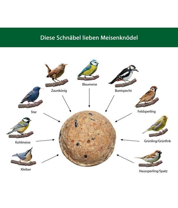 Dehner Natura Wildvogelfutter Meisen-Knödel, Mit Netz 2 Dehner Natura Wildvogelfutter Meisen-Knödel, Mit Netz – Bild 2