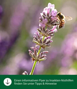 Dehner Natura Insektenhotel Norwich -Gartenbedarf Geschäft WE IG FlyergrafikDehnerNaturaInsektenhotelsNisthilfen