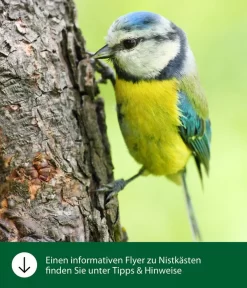 Dehner Natura Starenkasten Klassisch -Gartenbedarf Geschäft WE IG FlyergrafikDehnerNaturaNistkaesten